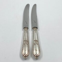 Nerūdijančio plieno peiliai 2 vnt. komplektas 2x25x2 cm
