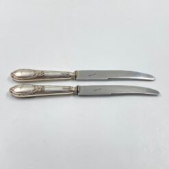 Nerūdijančio plieno peiliai 2 vnt. komplektas 2x25x2 cm