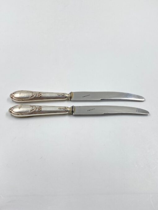 Nerūdijančio plieno peiliai 2 vnt. komplektas 2x25x2 cm