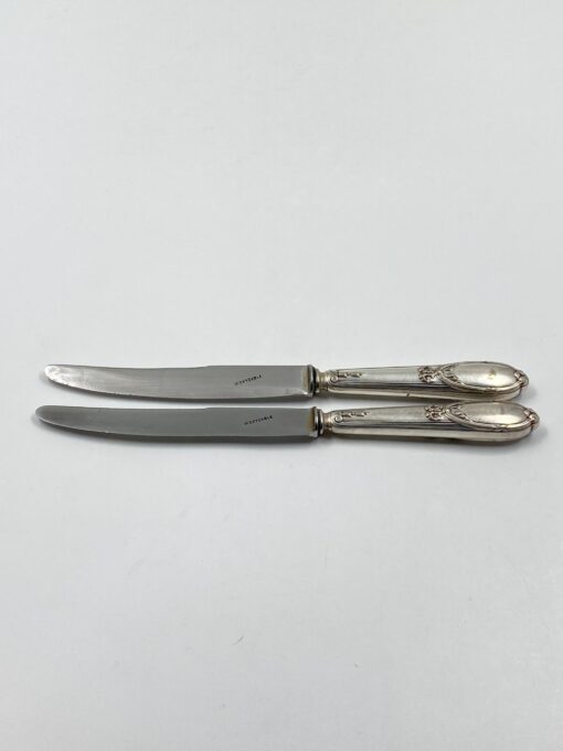 Nerūdijančio plieno peiliai 2 vnt. komplektas 2x25x2 cm