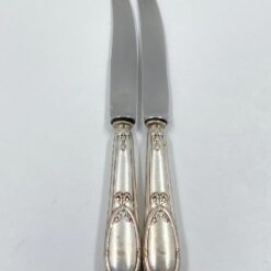Nerūdijančio plieno peiliai 2 vnt. komplektas 2x25x2 cm