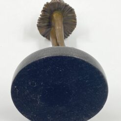 Milo bronzinė balerinos statula ant akmeninio postamento 12x12x26,5 cm