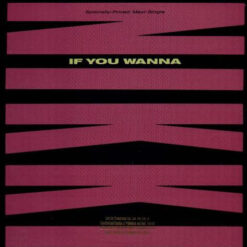 Nikki - 1989 - If You Wanna [Maxi]