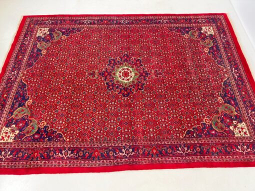 Vilnonis rankų darbo kilimas “Kashan” 345x250x1 cm