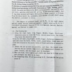 Kiniška bambukinė fleita odiniame dėkle 13x52x13 cm