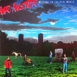 Mr. Mister - 1985 - Welcome To The Real World