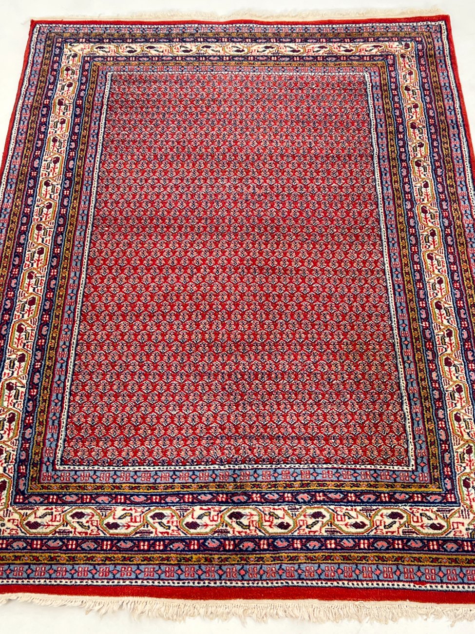 HN0017-kilimai-1 Vilnonis rankų darbo “Sarouk” kilimas 253x169x1 cm