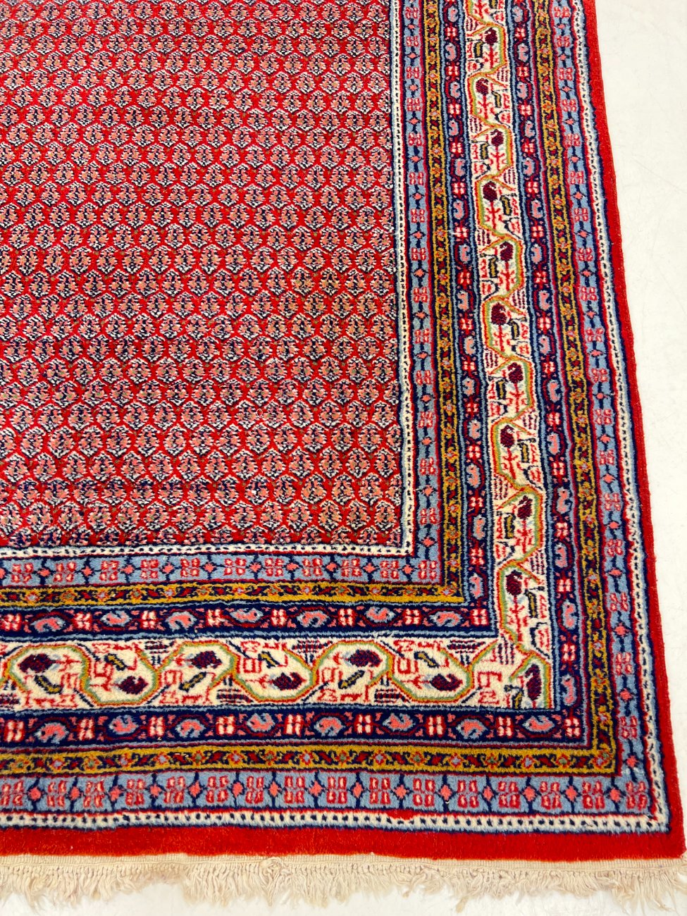 HN0017-kilimai-11 Vilnonis rankų darbo “Sarouk” kilimas 253x169x1 cm