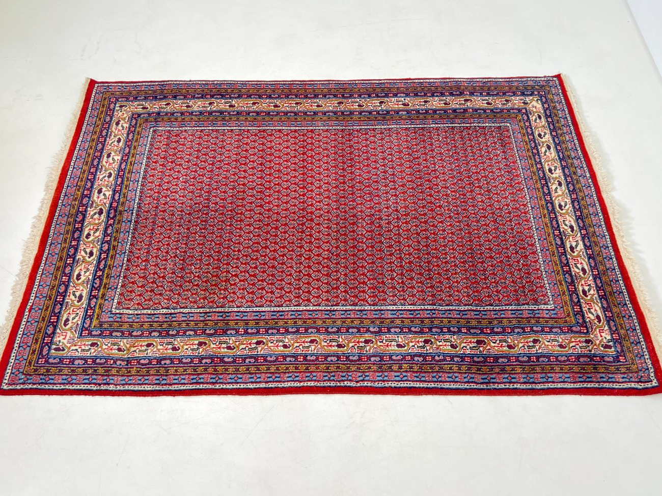 HN0017-kilimai-4 Vilnonis rankų darbo “Sarouk” kilimas 253x169x1 cm