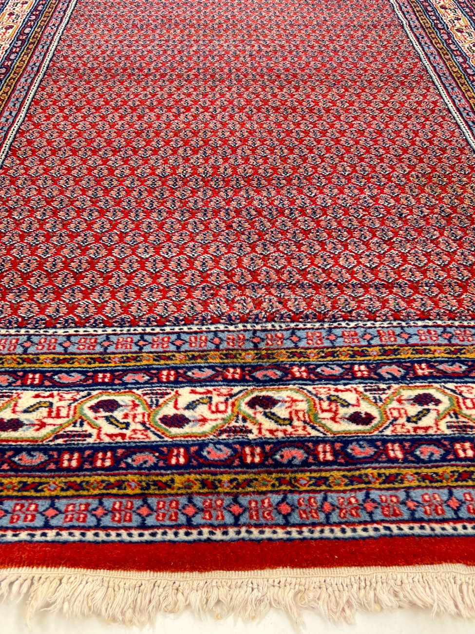 HN0017-kilimai-8 Vilnonis rankų darbo “Sarouk” kilimas 253x169x1 cm