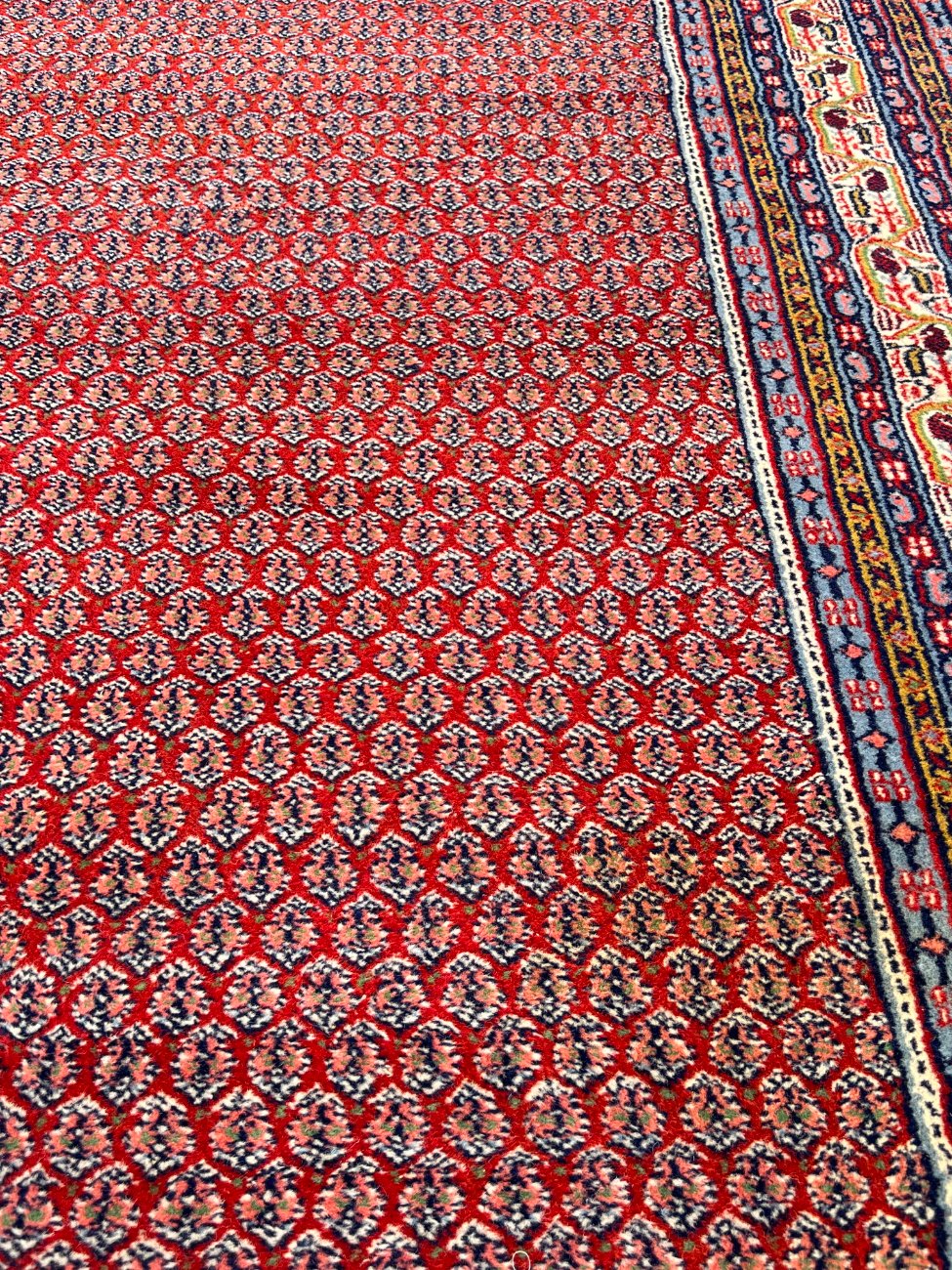 HN0017-kilimai-9 Vilnonis rankų darbo “Sarouk” kilimas 253x169x1 cm