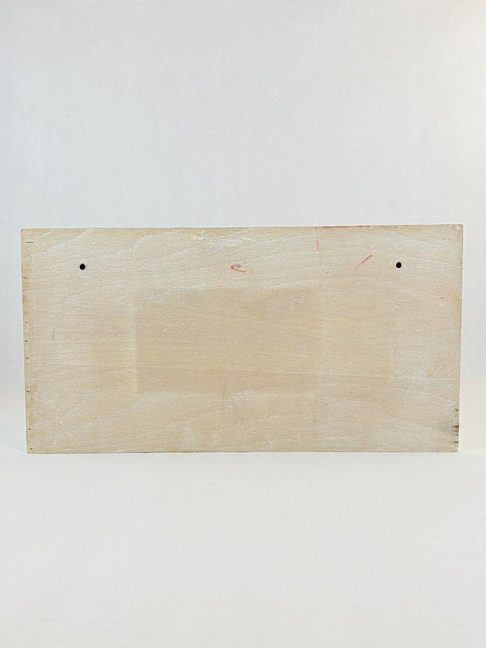 HN0273-spinteles-9 Pakabinama dviejų stumdomų durų spintelė su kabliukais 15,5×51,5×27 cm