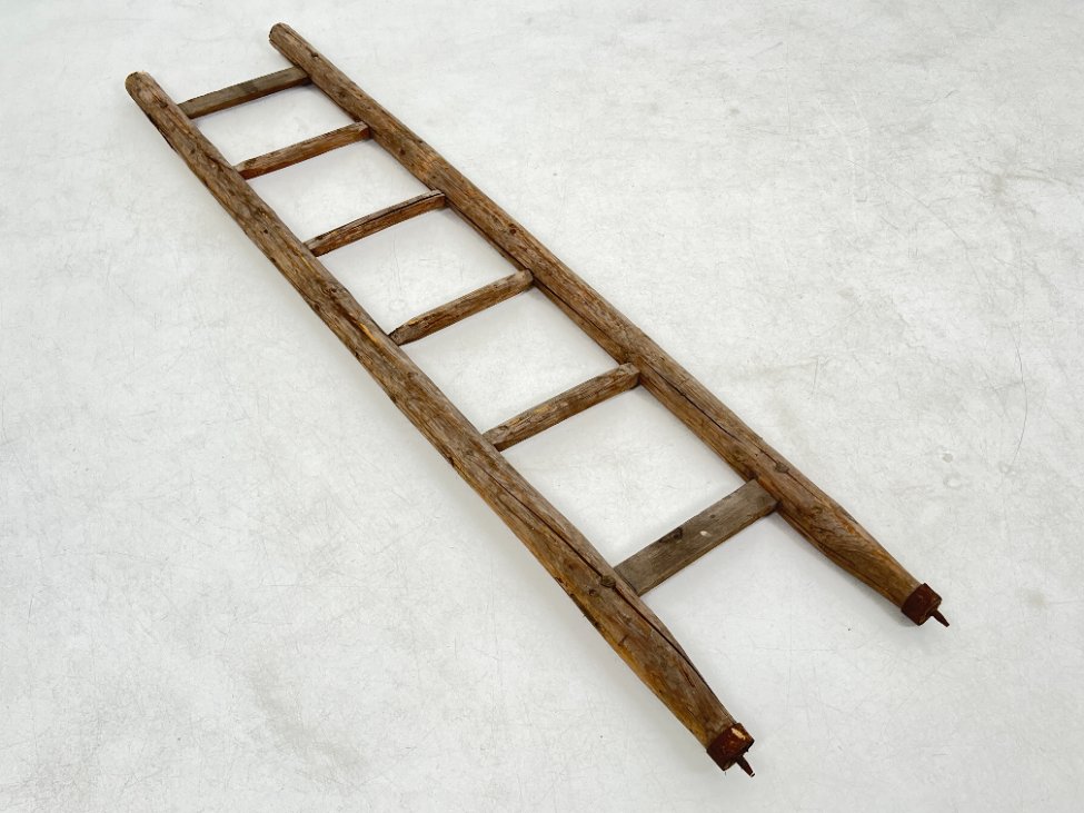 HF0401-irankiai-prietaisai-2 Senovinės įsmeigiamos pušies medžio kopėčios 7x44x200 cm