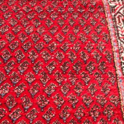 Vilnonis rankų darbo kiliminis takas “Sarouk” 302x85x0,7 cm