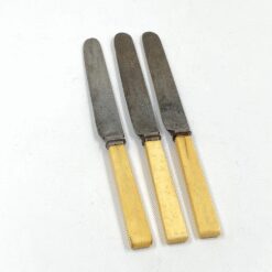 “J. & R. Dodge Sheffield” peiliai plastikinėmis rankenomis 3 vnt. komplektas 21x1x2 cm