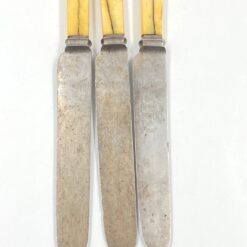 “J. & R. Dodge Sheffield” peiliai plastikinėmis rankenomis 3 vnt. komplektas 21x1x2 cm