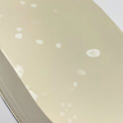 Skardinis vazonas su rankenėlėmis 20,5x34x11 cm