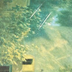 Carl Spitzweg paveikslo “The cactus friend” printas 2x16x25,5 cm