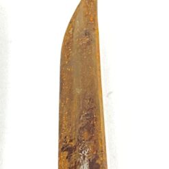 Japoniška katana su žalvario detalėmis ir dėklu 6,5×74,5×6,5 cm