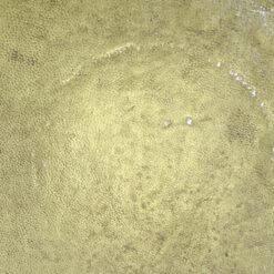 Riešutmedžio staliukai odiniais stalviršiais 3 vnt. komplektas 48x115x44 cm