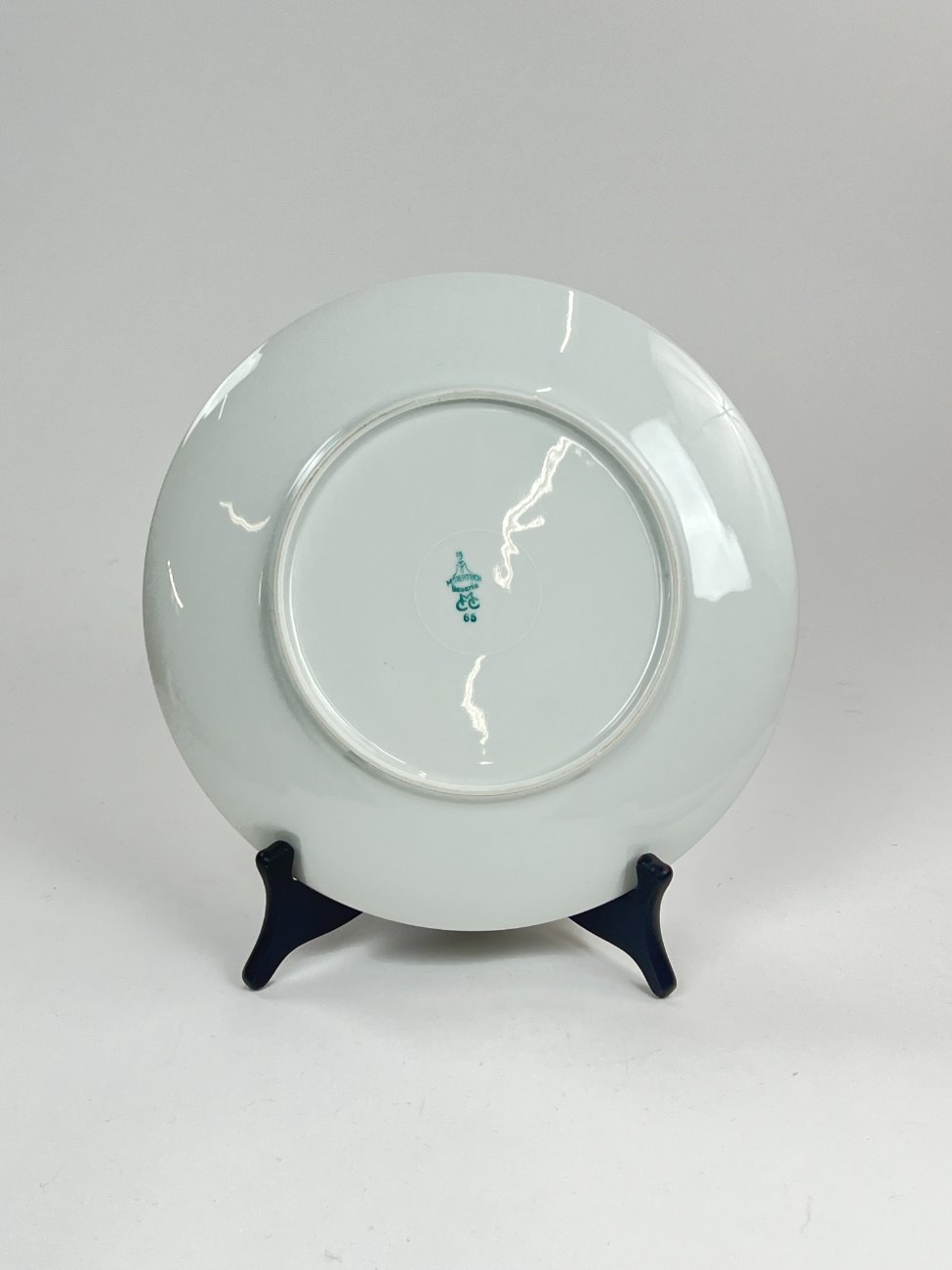 DN0227-servizu-dalys-6 Porcelianinė Mitterteich Bavaria lėkštė su žuvų atvaizdu 24,5×24,5×3 cm