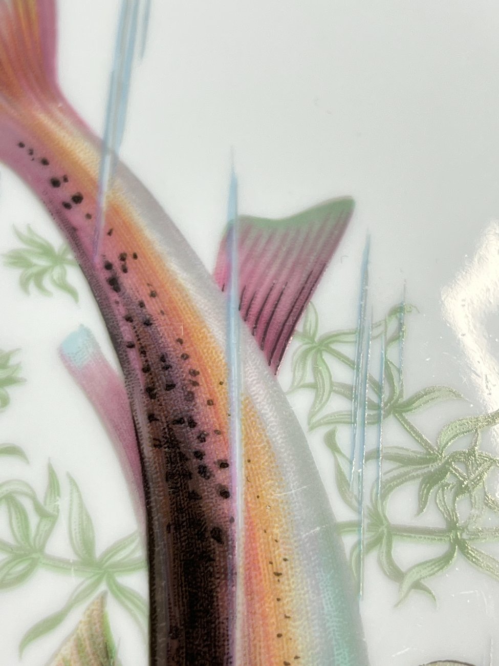 DN0231-servizu-dalys-8 Porcelianinė Winterling serviravimo lėkštė su žuvies atvaizdu 23,5x35x3 cm