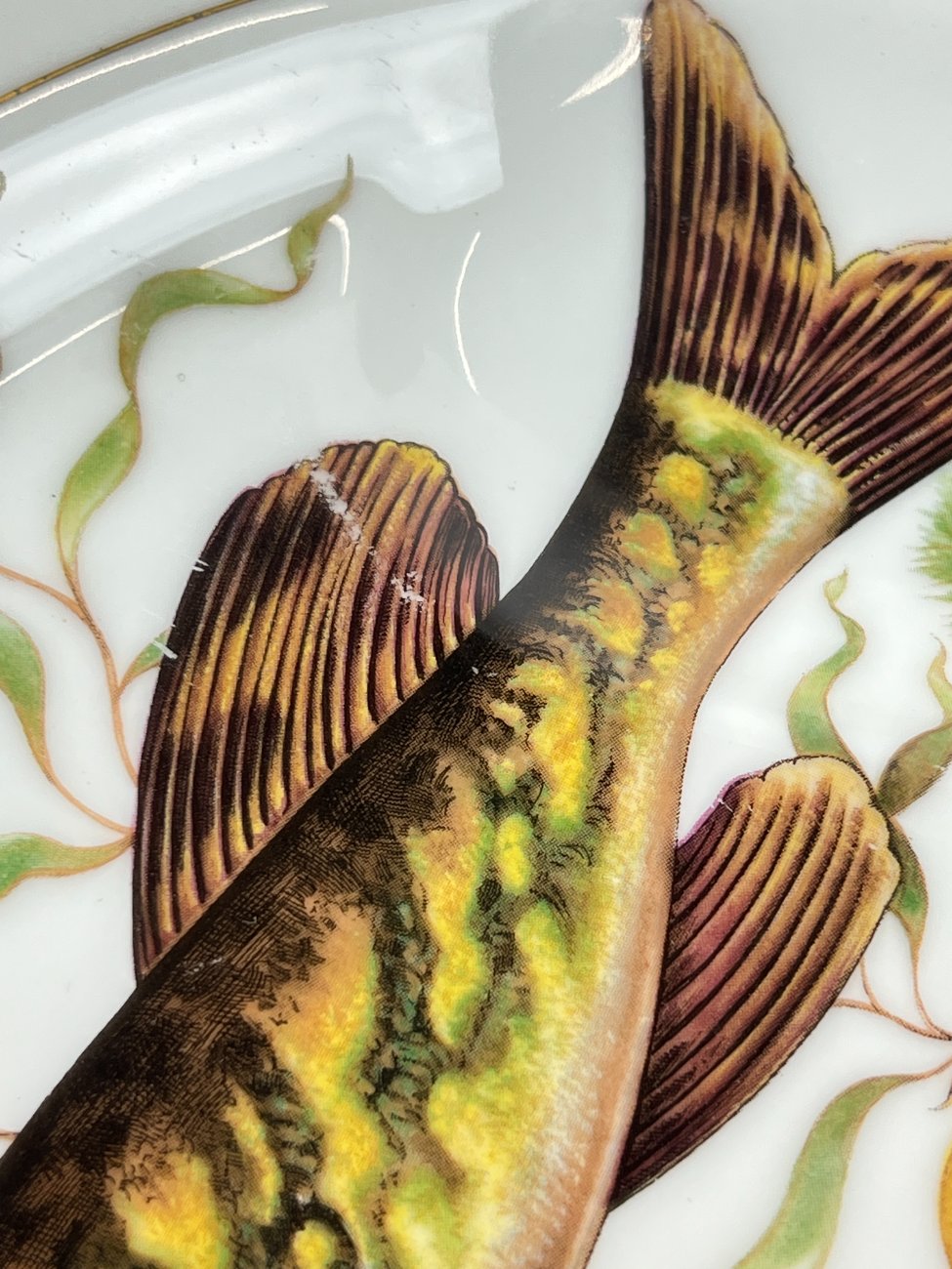 DN0237-servizu-dalys-7 Veritable Porcelaine serviravimo lėkštė su žuvų atvaizdu 26,5×34,5×3,5 cm