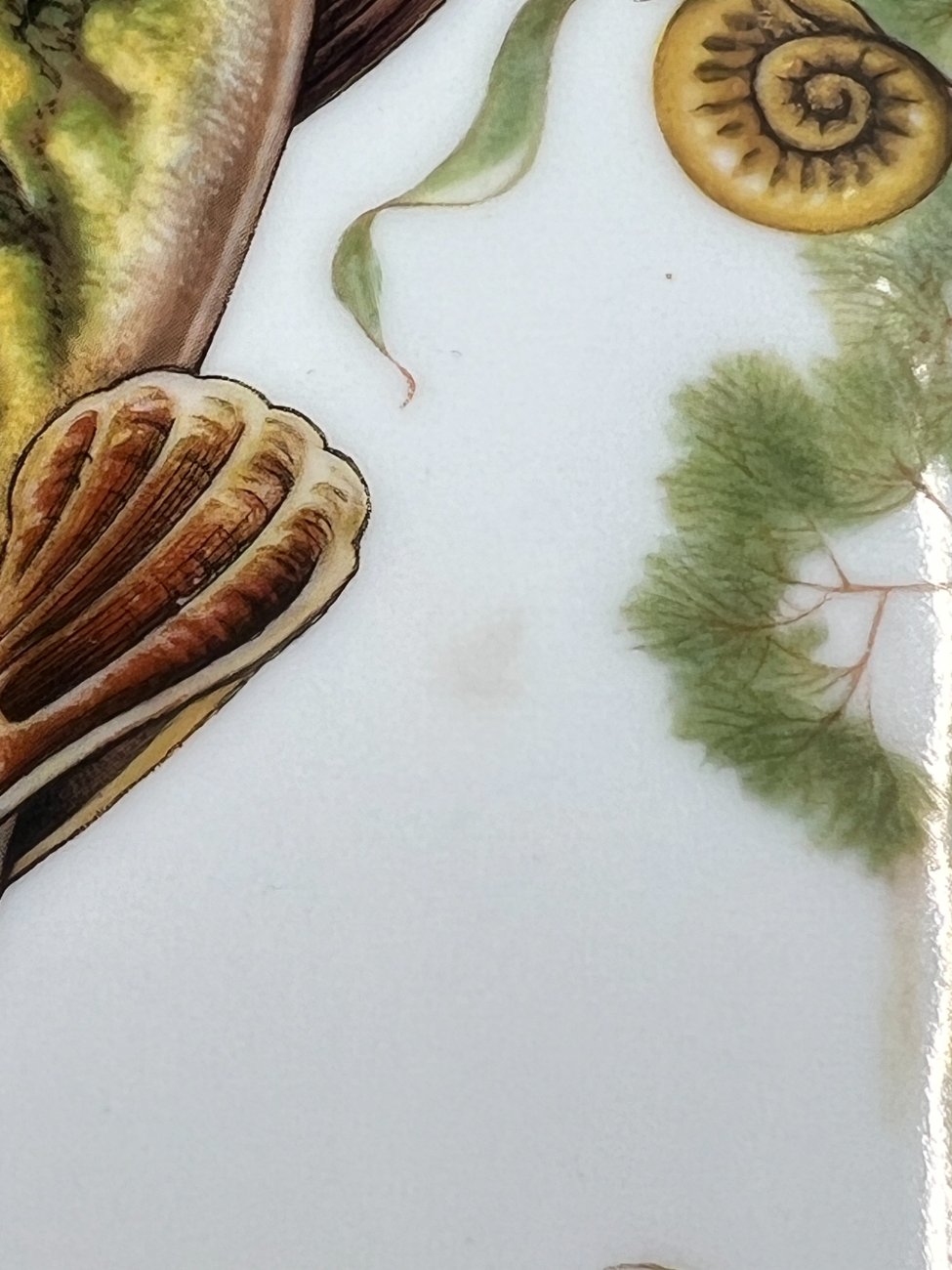 DN0237-servizu-dalys-8 Veritable Porcelaine serviravimo lėkštė su žuvų atvaizdu 26,5×34,5×3,5 cm