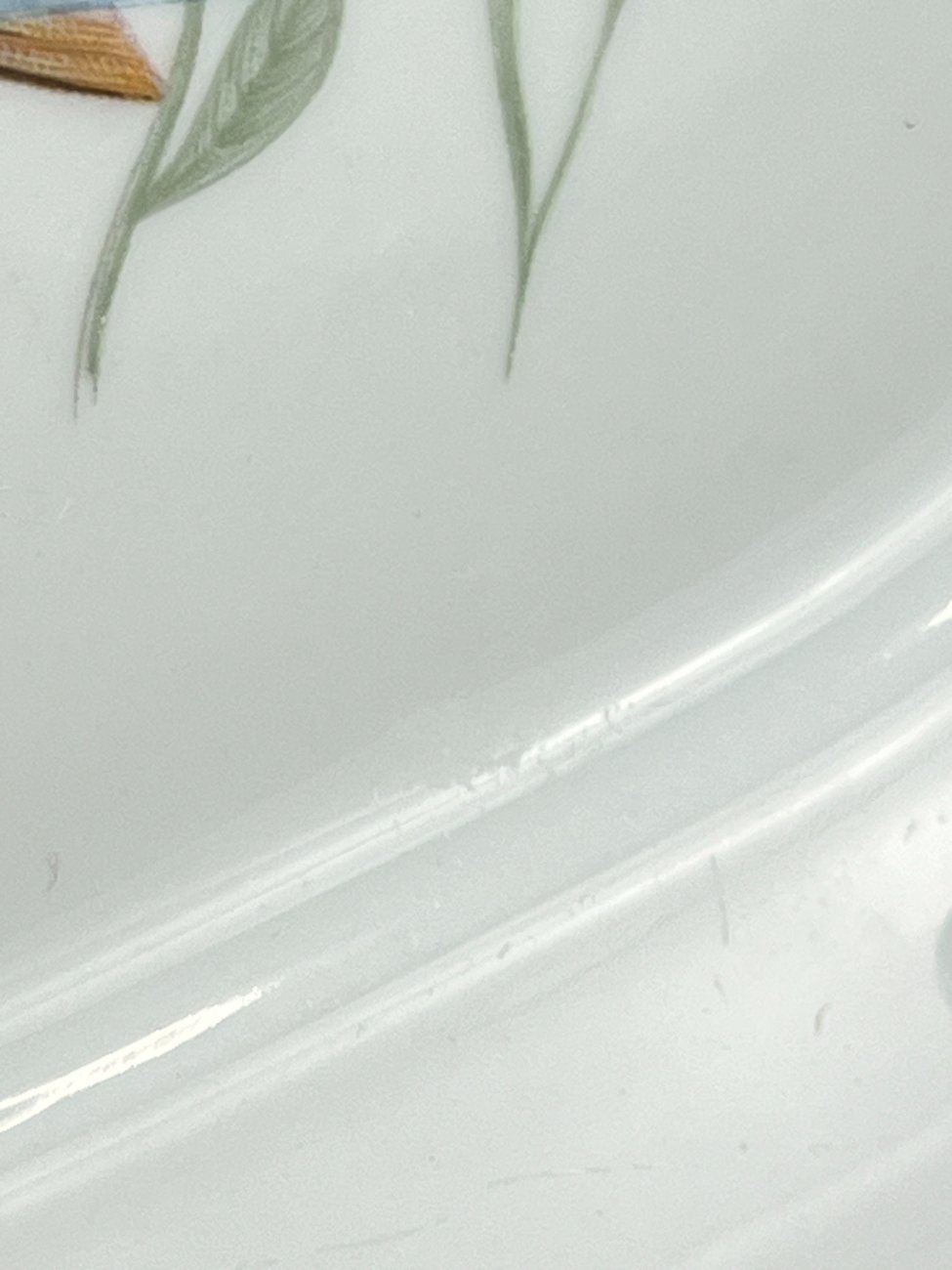 DN0239-servizu-dalys-7 Porcelianinė Winterling serviravimo lėkštė su žuvies atvaizdu 19x29x2,5 cm