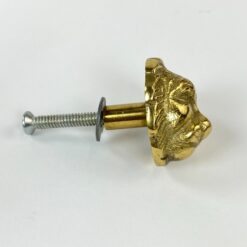 Žalvarinė baldo rankenėlė “Liūto galva” 3,5x3x3,5 cm