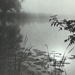 Migloto gamtos peizažo printas mediniame rėme su stiklu 2×32,5×40 cm