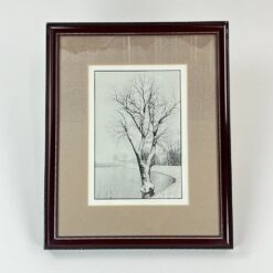 Žiemos peizažo printas mediniame rėme su stiklu 2x32,5x40 cm