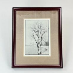 Žiemos peizažo printas mediniame rėme su stiklu 2×32,5×40 cm