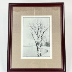 Žiemos peizažo printas mediniame rėme su stiklu 2×32,5×40 cm