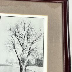 Žiemos peizažo printas mediniame rėme su stiklu 2×32,5×40 cm