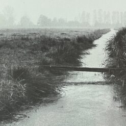 Gamtos peizažo printas mediniame rėme su stiklu 2x40x32,5 cm