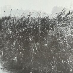 Gamtos peizažo printas mediniame rėme su stiklu 2x40x32,5 cm