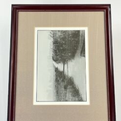 Gamtos peizažo printas mediniame rėme su stiklu 2x40x32,5 cm