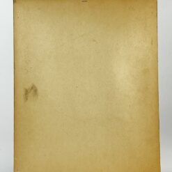 Siuvinėtas moters portretas mediniame rėme 3x32x40 cm