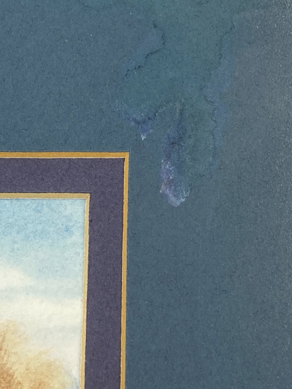 HN1153-animalistine-tematika-10 Akvarele tapytas paveikslas “Fazanai” metalo rėme su stiklu 2×30,5×24 cm