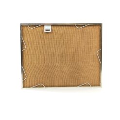 Akvarele tapytas paveikslas “Fazanai” metalo rėme su stiklu 2×30,5×24 cm