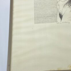 Grafikos darbas “Moteris” plastikiniame rėme su stiklu 1,5×30,5×40,5 cm