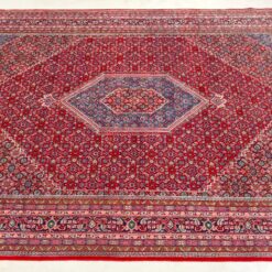 Vilnonis rankų darbo kilimas “Bidjar” 389x280x1 cm