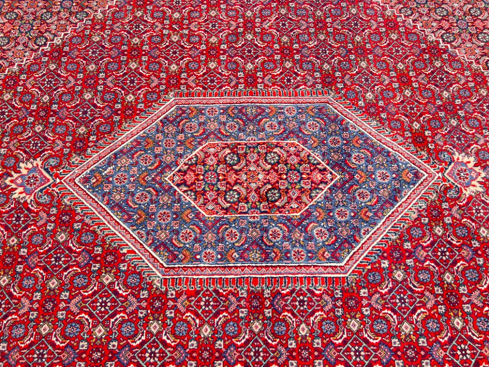 DN0359-kilimai-5 Vilnonis rankų darbo kilimas “Bidjar” 389x280x1 cm