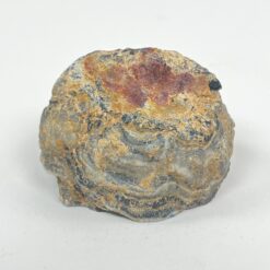 20 vnt. mineralų komplektas dėžutėje 33x25x4,5 cm