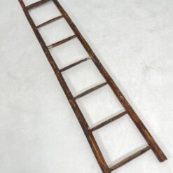 Medinės kopėčios 8x48x247 cm