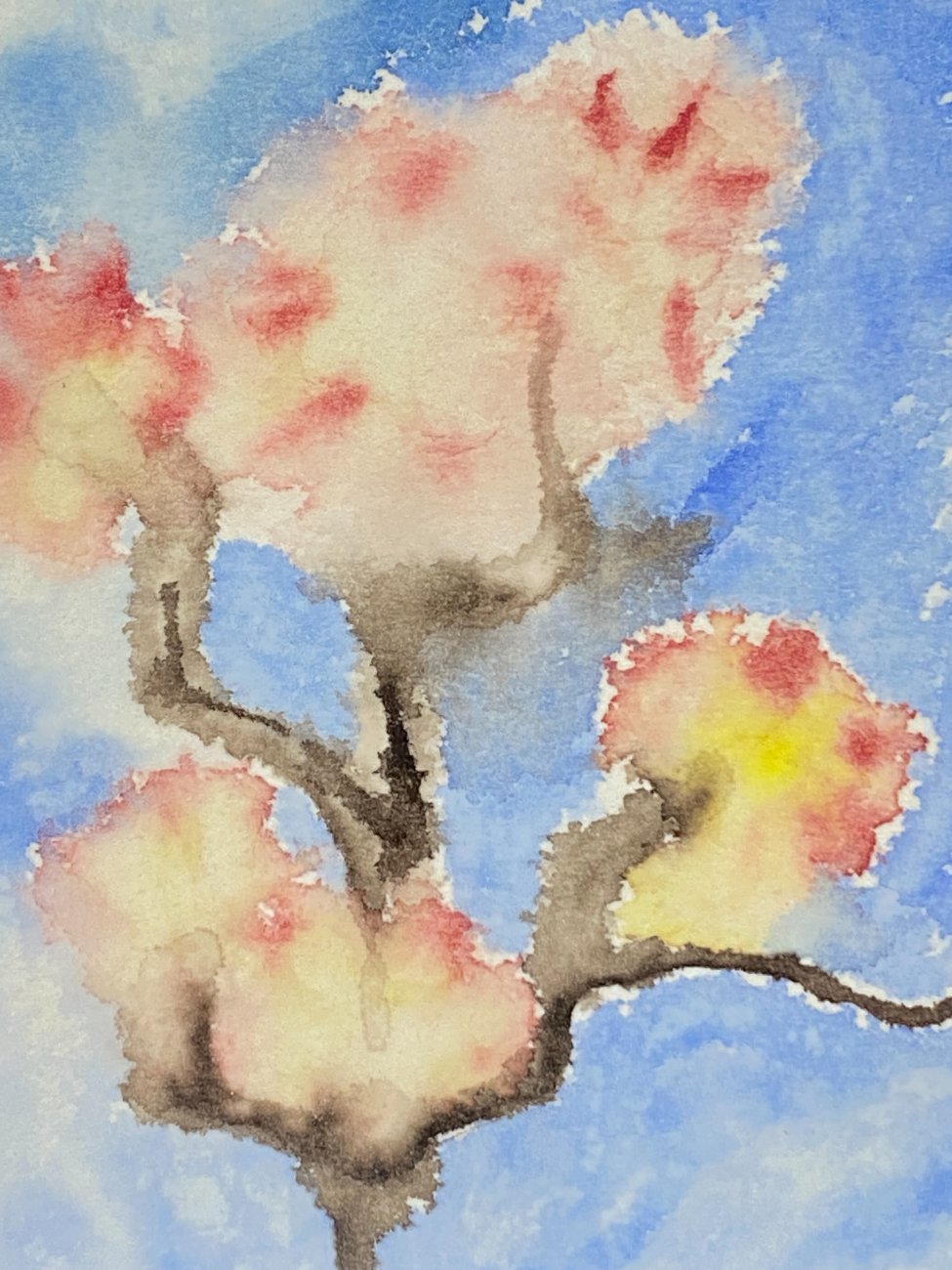 HN1174-gamtos-peizazai-5 Įstiklintas akvarele tapytas darbas “Vyšnios žydėjimas” 1x20x20x cm