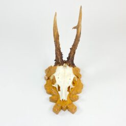 Sieninė pakabinama dekoracija gyvūno kaukolė su ragais 23x14x28,5 cm