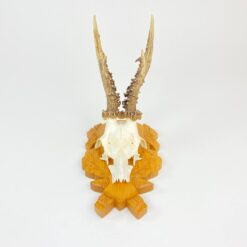 Sieninė pakabinama dekoracija gyvūno kaukolė su ragais 21x14x31,5 cm