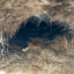 Kailinė rankų mova 23x29x15 cm